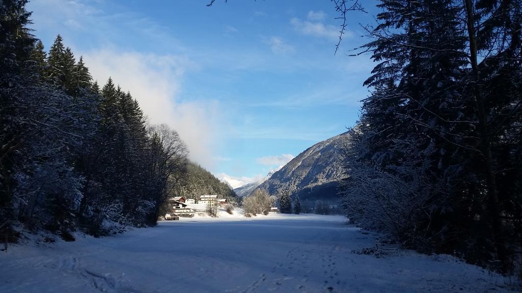 Apartment Gastehaus Hauser Bach (Tyrol)